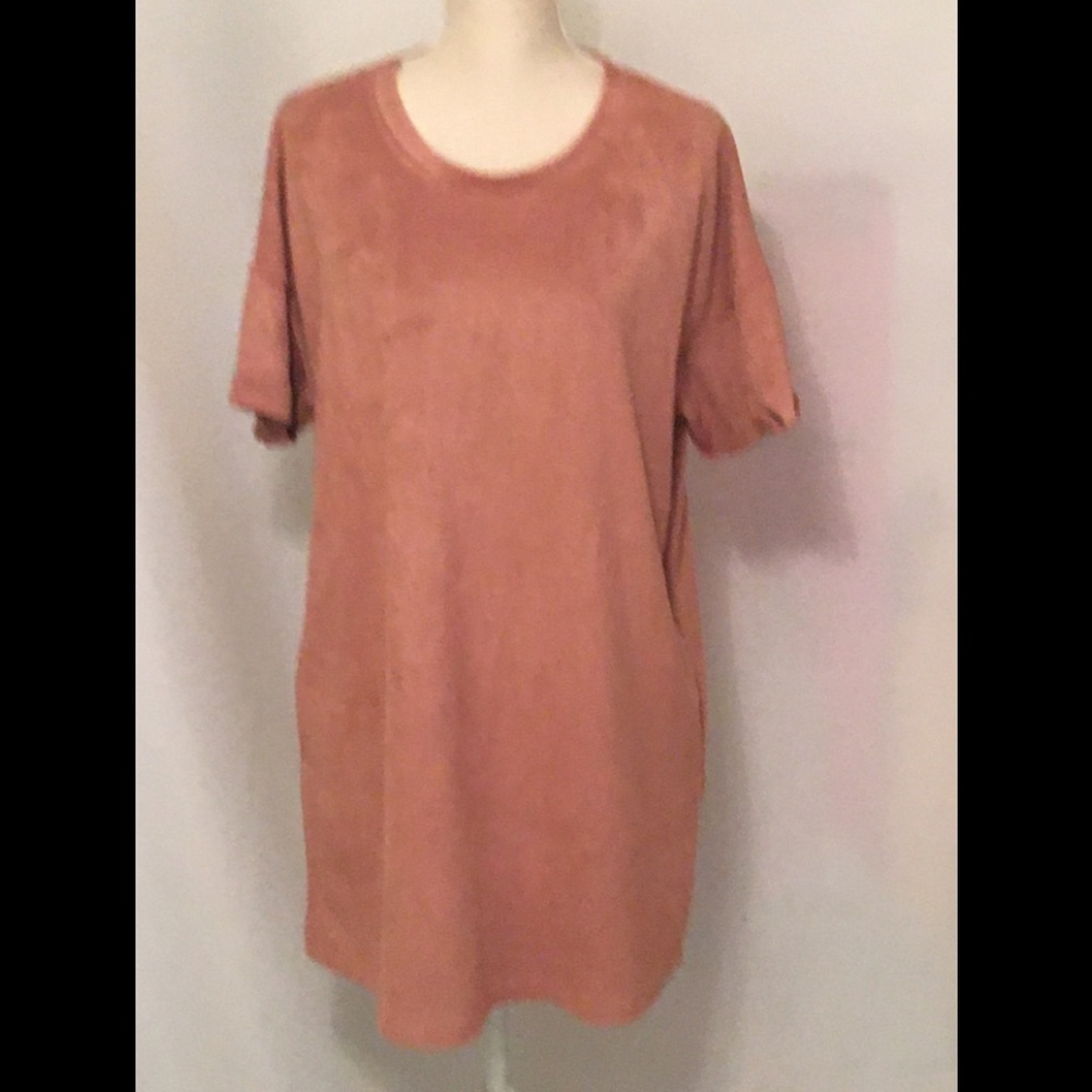 Wishlist Blush Ultra Suede Shift Dress